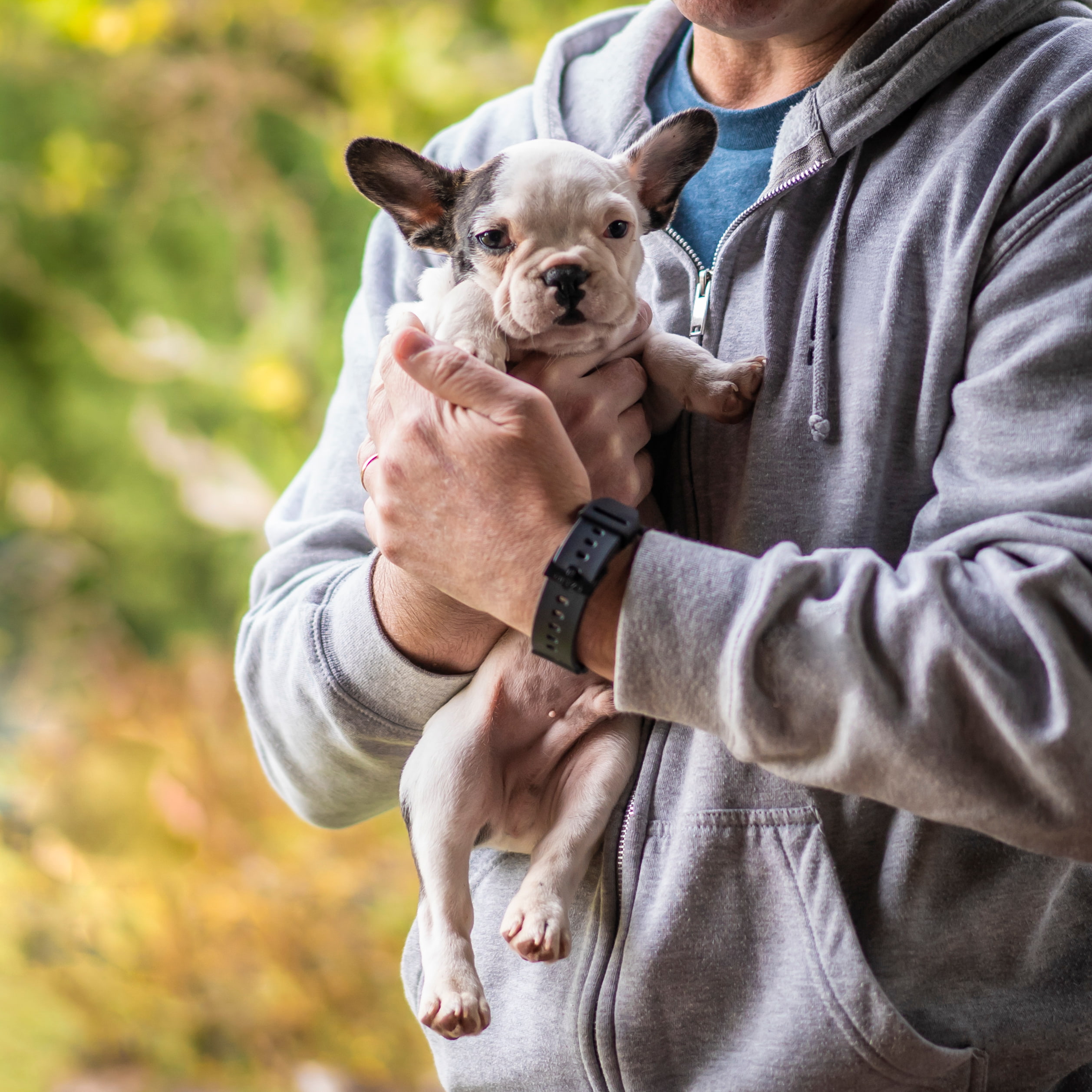 Veterinario atendiendo una urgencia a un gato en una clínica veterinaria de Sevilla, ambiente de rapidez y profesionalidad
