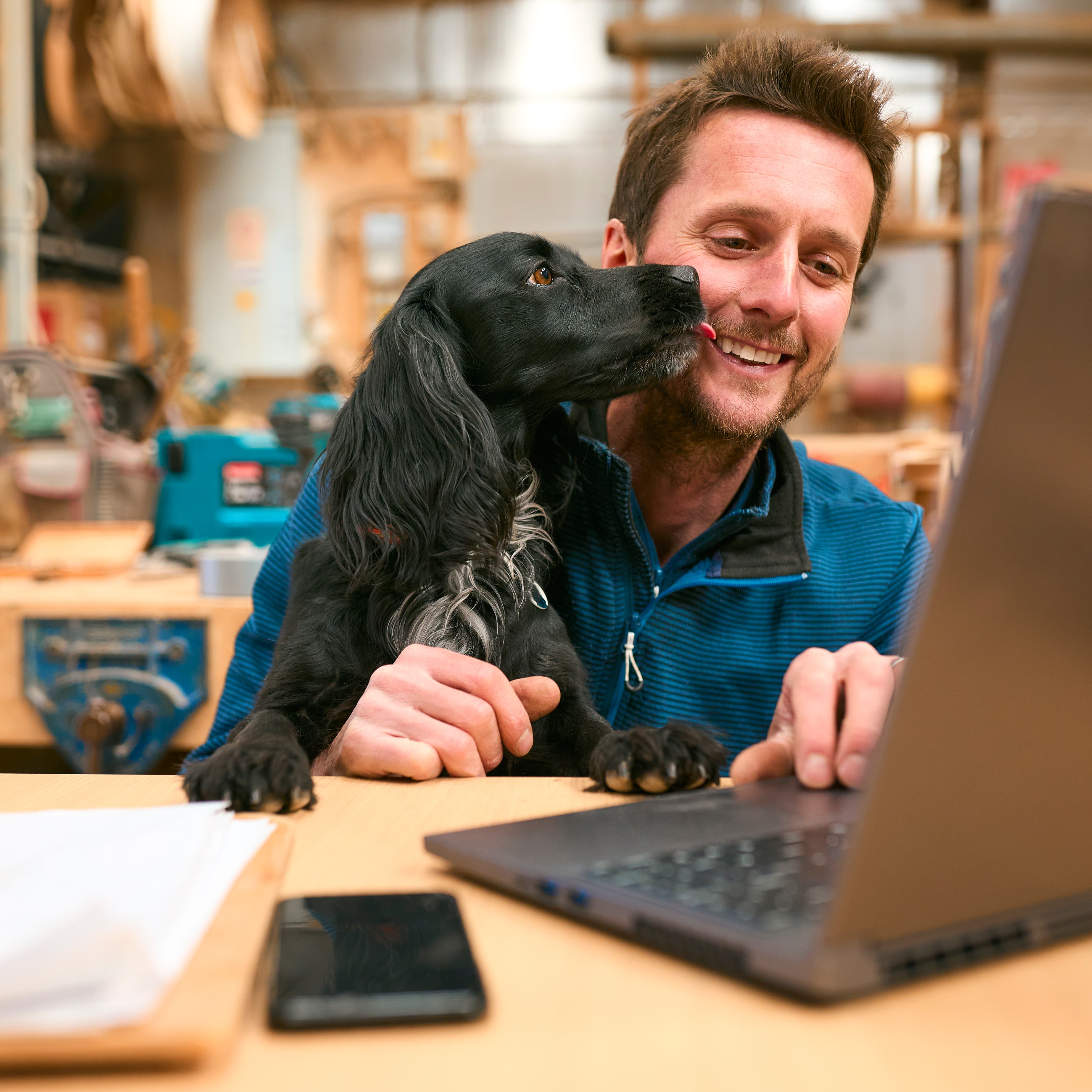 Veterinario implantando microchip a un perro pequeño en una clínica veterinaria de Sevilla, mostrando importancia de la identificación