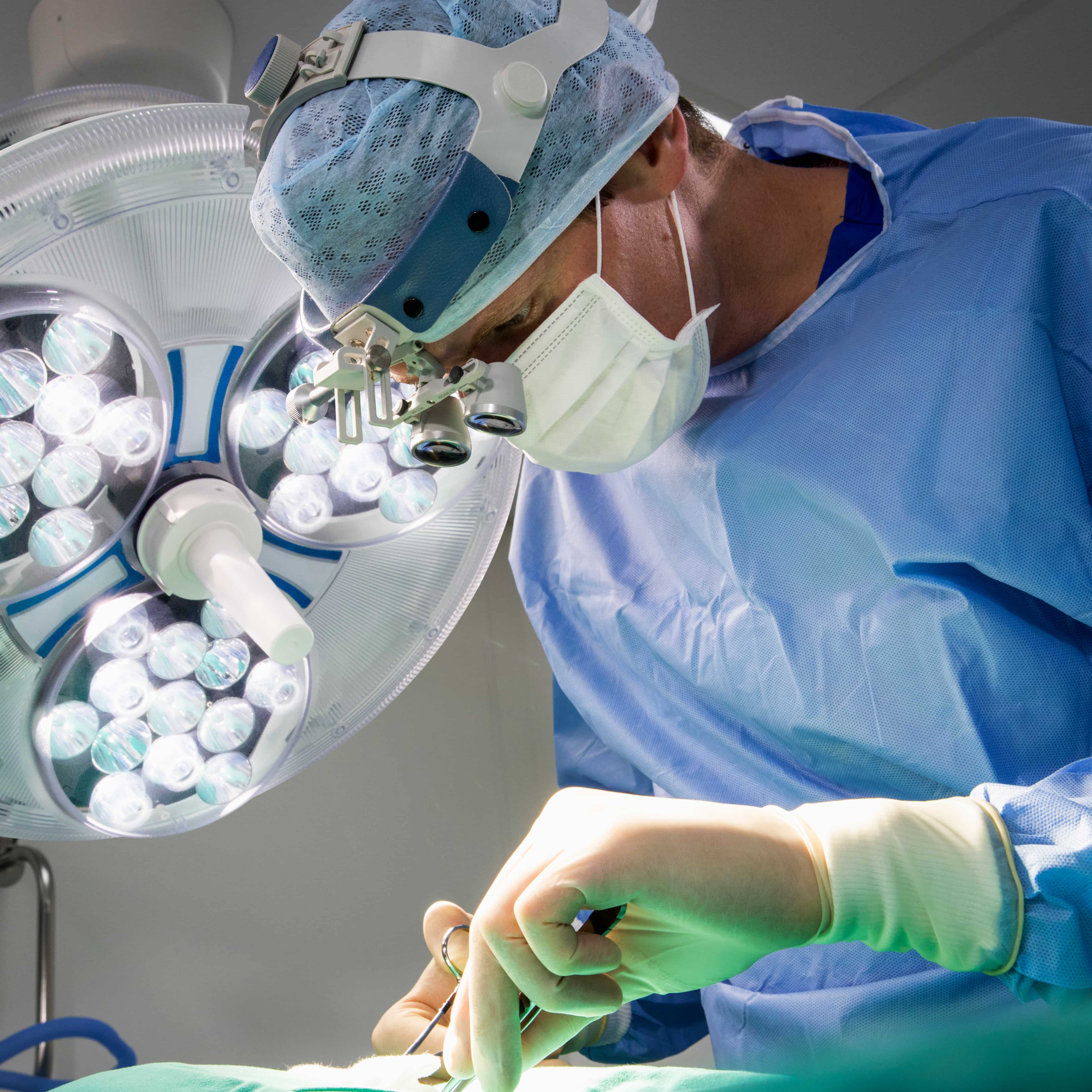 Equipo de veterinarios y mascotas en recepción de clínica veterinaria moderna en Sevilla, ambiente profesional y acogedor